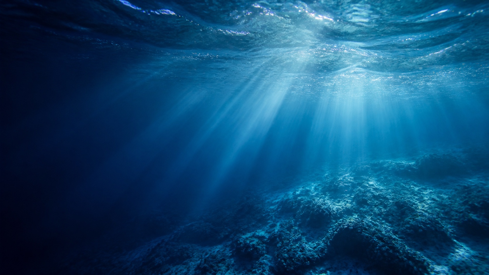 An image of multiple lights shining into the dark ocean and the topography of the ocean floor becoming visible.