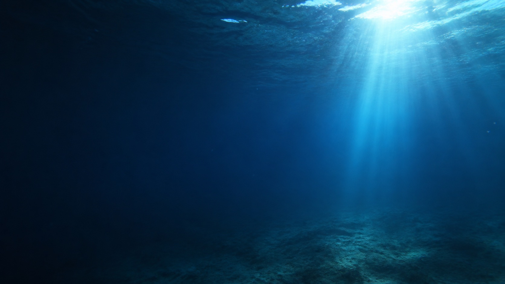 深い海へ一本の光が差し込み、海底の一部を照らしている海中風景